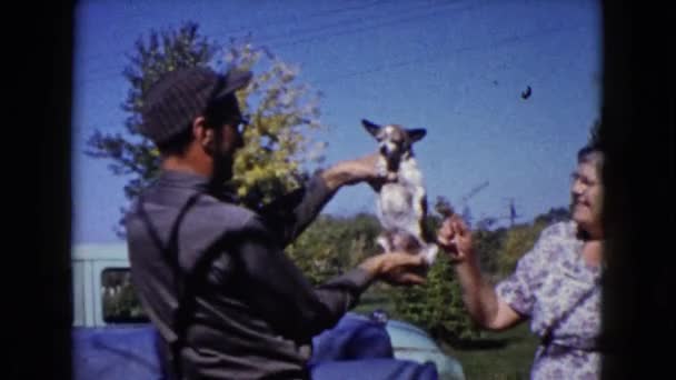 Gente jugando con perro — Vídeos de Stock