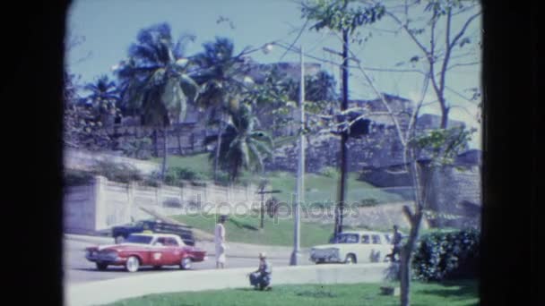 Bilar på gatan med palmer Stockfilm