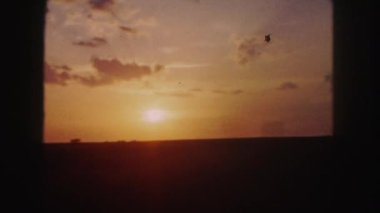 manzara penceresinde Görüntüle