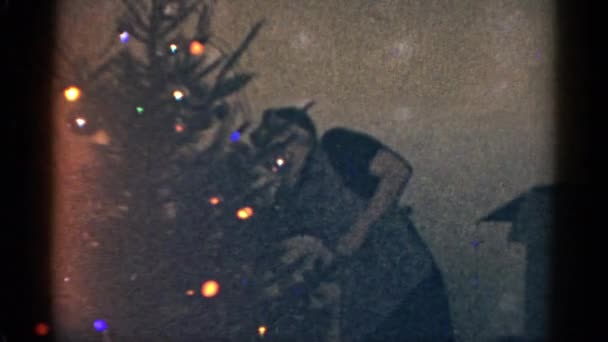 Woman dressing up christmas tree — Stock Video