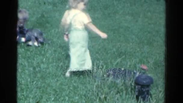 Children playing with cats — Stock Video