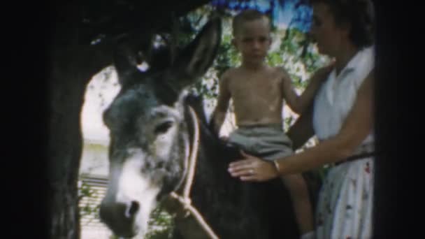 Dziecko siedzi na osła — Wideo stockowe
