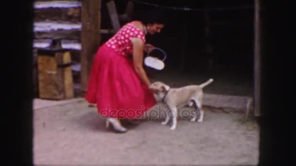 Mujer acariciando pequeño perro — Vídeos de Stock