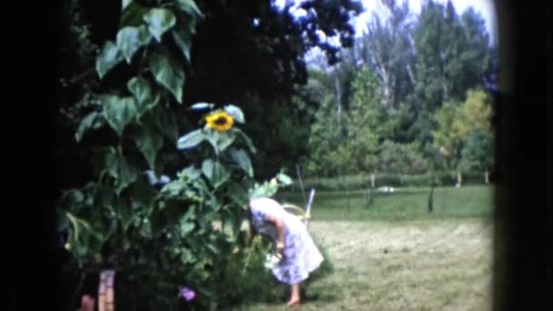 Mujer arrancando flores frescas — Vídeos de Stock