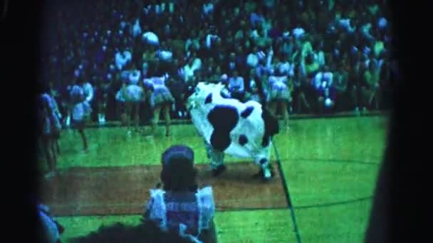 Menschen auf dem Basketballplatz — Stockvideo