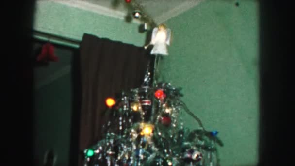 装饰过的圣诞树 — 图库视频影像