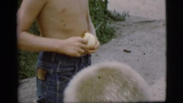 Мальчик чистит картошку — стоковое видео