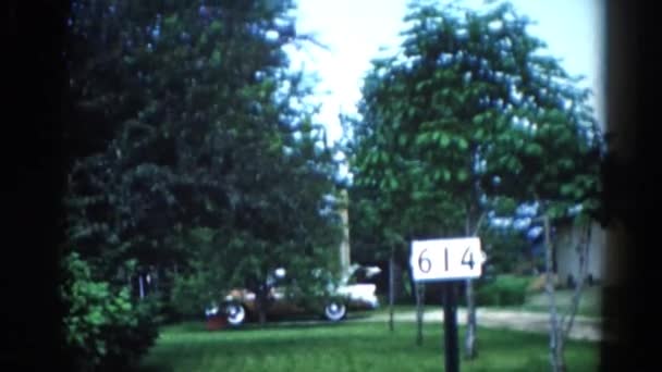 Улица с деревьями и машиной — стоковое видео