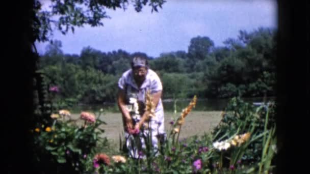 Woman plucking fresh flowers — Stock Video