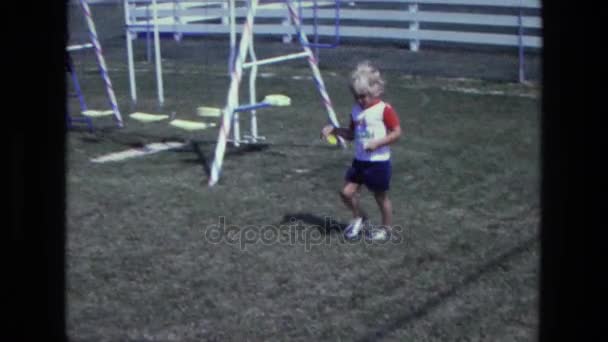 Boy walking in backyard — Stock Video