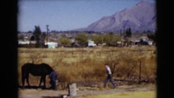 Antigua granja en Arizona — Vídeos de Stock