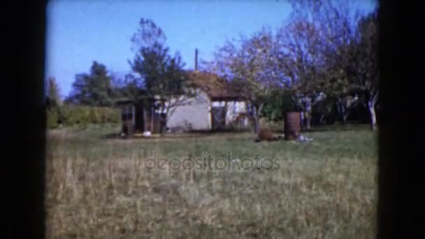 Pequeña casa blanca en el campo — Vídeos de Stock