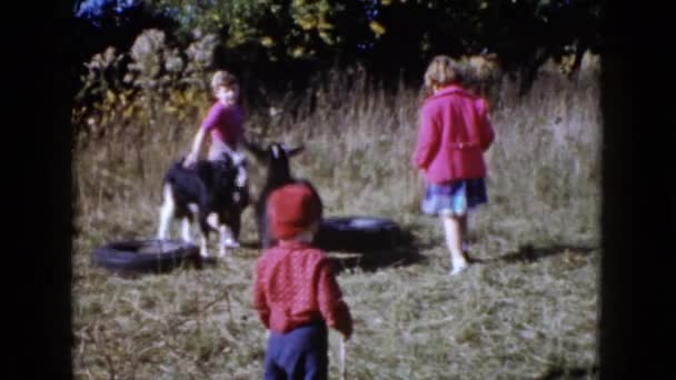 Niños caminando con cabras — Vídeos de Stock