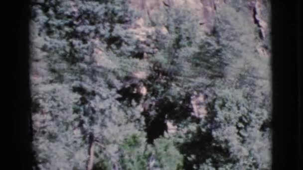 Heuvelachtige bergen met bomen — Stockvideo