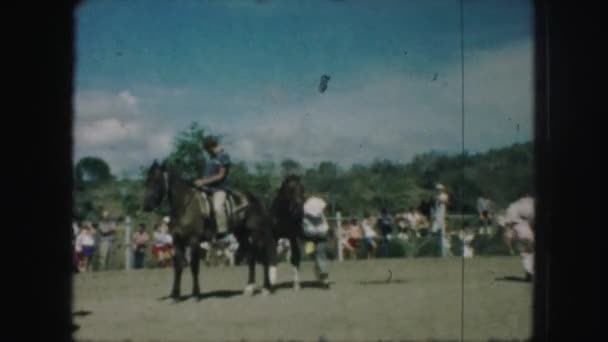 Horseback riding competition — Stock Video