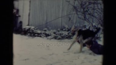 Köpekle oynayan çocuklar