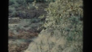 Trenden penceresi görünümü