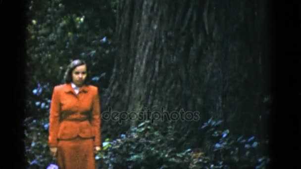 Mujer fotografiando cerca del árbol — Vídeos de Stock