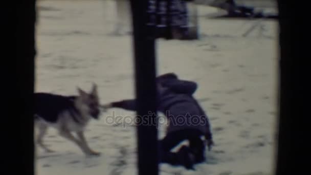 Meninos brincando com cão — Vídeo de Stock