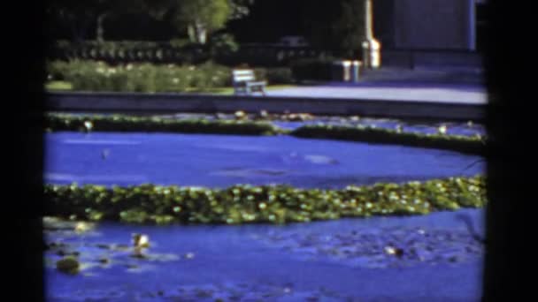 Artificial pond with lilies — Stock Video