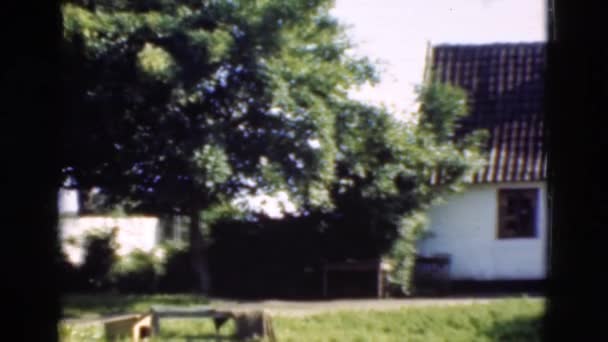 Kleine witte huis op platteland — Stockvideo