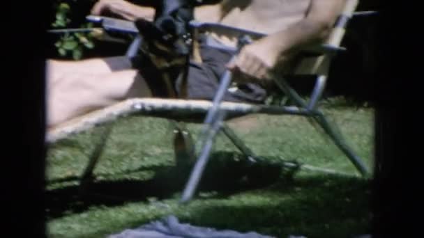 Oameni care se relaxează în curte cu un câine — Videoclip de stoc