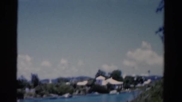景观的河和棕榈树 — 图库视频影像
