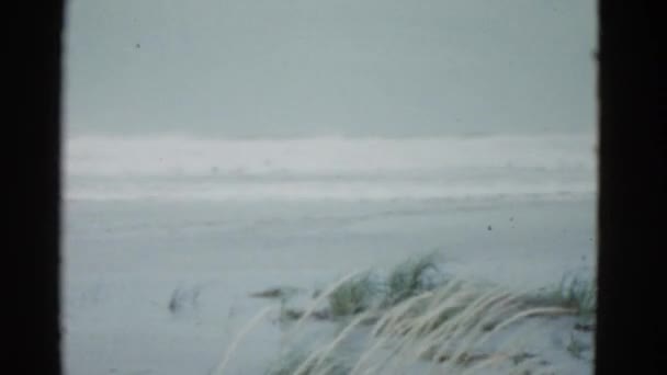 Landschaft mit Küste und Wellen — Stockvideo