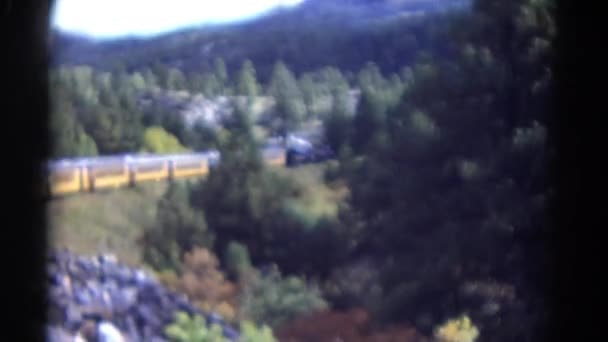 Ventana vista desde el tren — Vídeo de stock