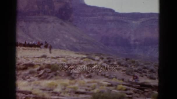 Landschap og Grand Canyon — Stockvideo