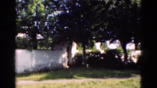 Árboles cerca de valla blanca — Vídeos de Stock