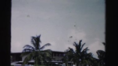 Mavi gökyüzü ve palm tree tops