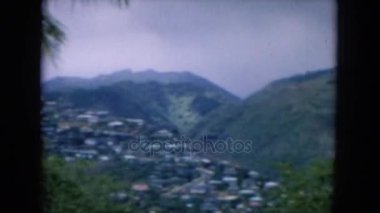 güzel tropikal peyzaj