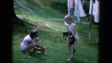 köpek ve kedi ile oynayan kızlar