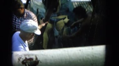 erkek yunus için bakım