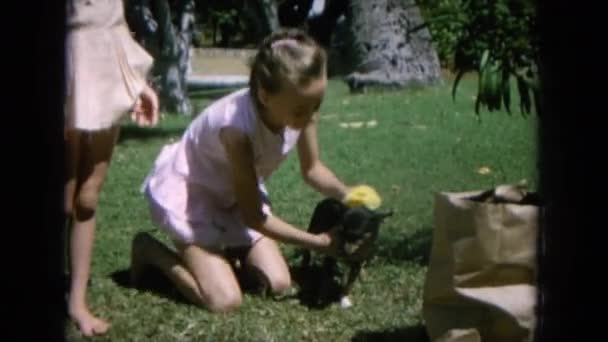 Meninas brincando com o cão — Vídeo de Stock