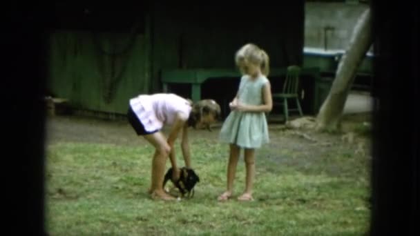 Девушки играют с собакой — стоковое видео