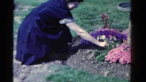 Mujer haciendo jardinería — Vídeos de Stock