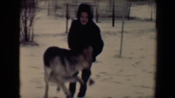 Niño jugando con el perro — Vídeo de stock