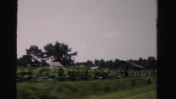 房子和绿色降落 — 图库视频影像