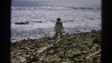 kabukları bir kayalık deniz kıyısında güneşlenenbirileri varsa arayın