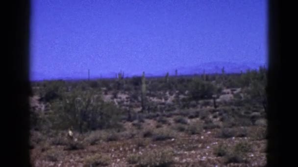 Veduta panoramica del deserto con cactus — Video Stock