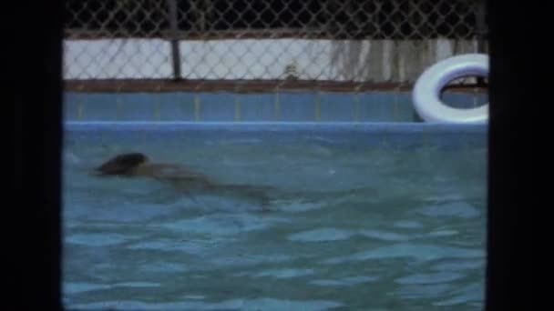 Girl in the pool at summer fun — Stock Video