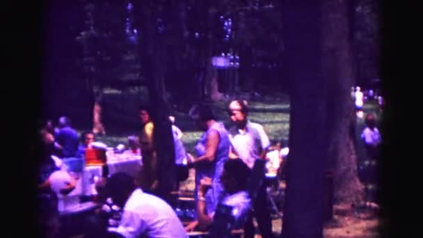 Piknik v lesnaté oblasti — Stock video