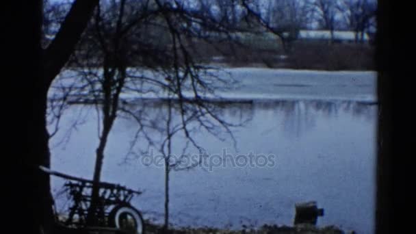 Pohled skrz stromy částečně zamrzlé jezero — Stock video