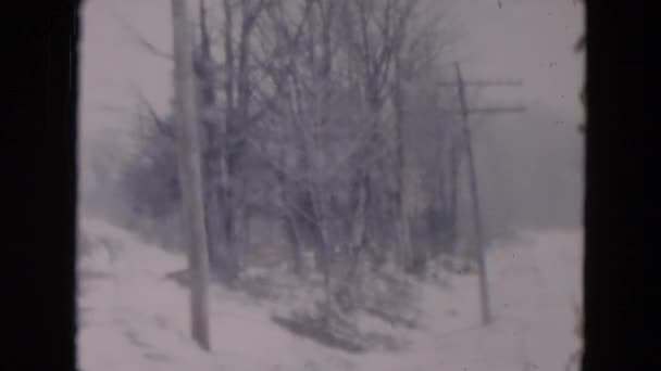 Une route recouverte de neige lors d'une tempête hivernale — Video