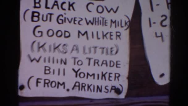 Zeichen der schwarzen Kuh verkaufen — Stockvideo