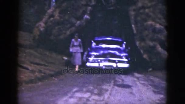 Kvinnan promenader nära bil — Stockvideo