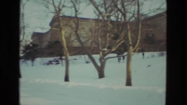 雪の公園や木々 — ストック動画
