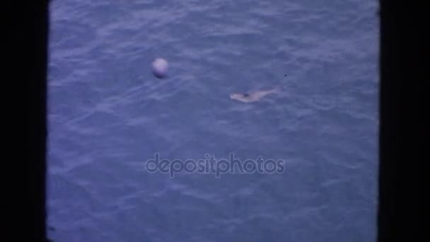 Captura de peces con redes en el muelle — Vídeos de Stock